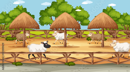 Scene with wild animals in the zoo at day time