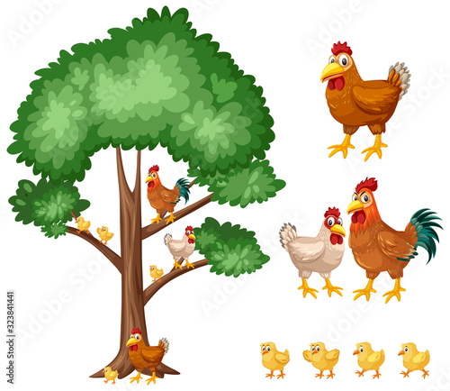 Big tree and chickens on white background