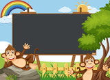 Blackboard template design with happy monkeys in the zoo