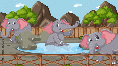 Scene with wild animals in the zoo at day time