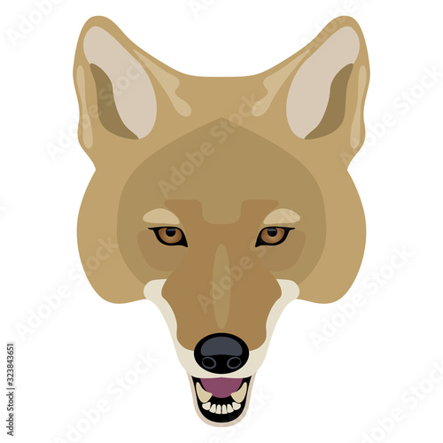 Isolated vector illustration. Stylized face of coyote. (Canis latrans). Native American wolf. Flat cartoon style.