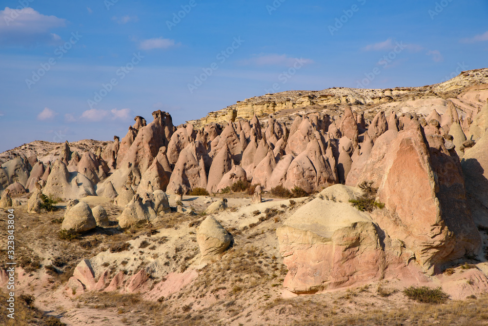 Fototapeta premium Devrent Valley / Imaginary Valley, a valley full of unique rock formations in Cappadocia, Turkey