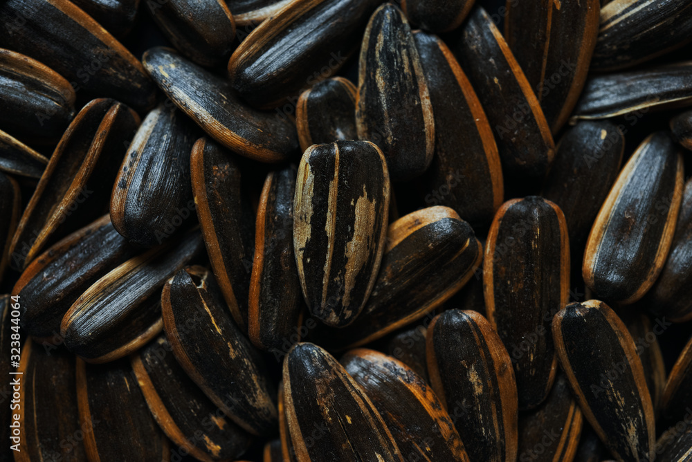 Background of the sunflower seeds Background of the sunflower seeds
