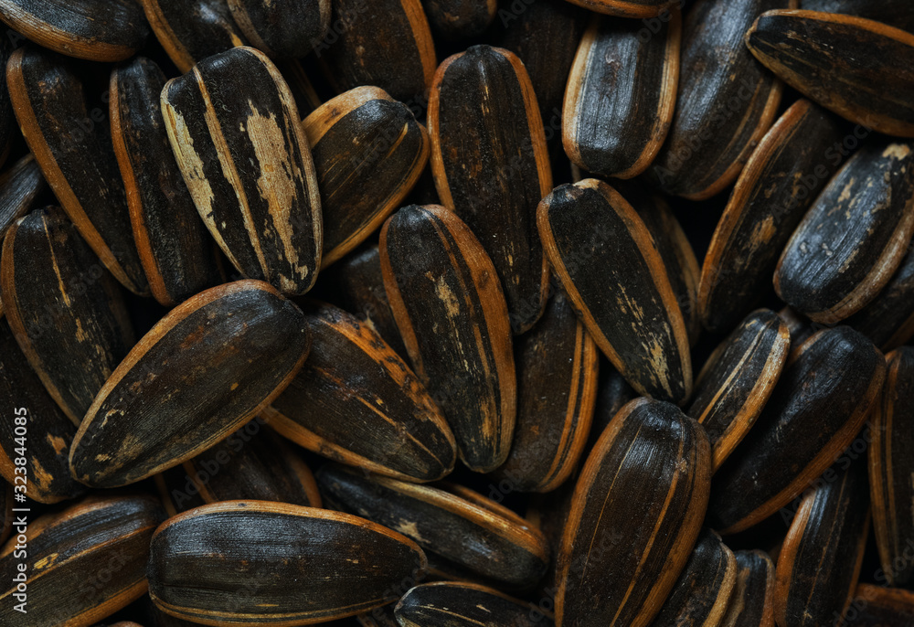 Background of the sunflower seeds Background of the sunflower seeds