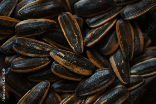 Wallpaper Mural Background of the sunflower seeds Torontodigital.ca