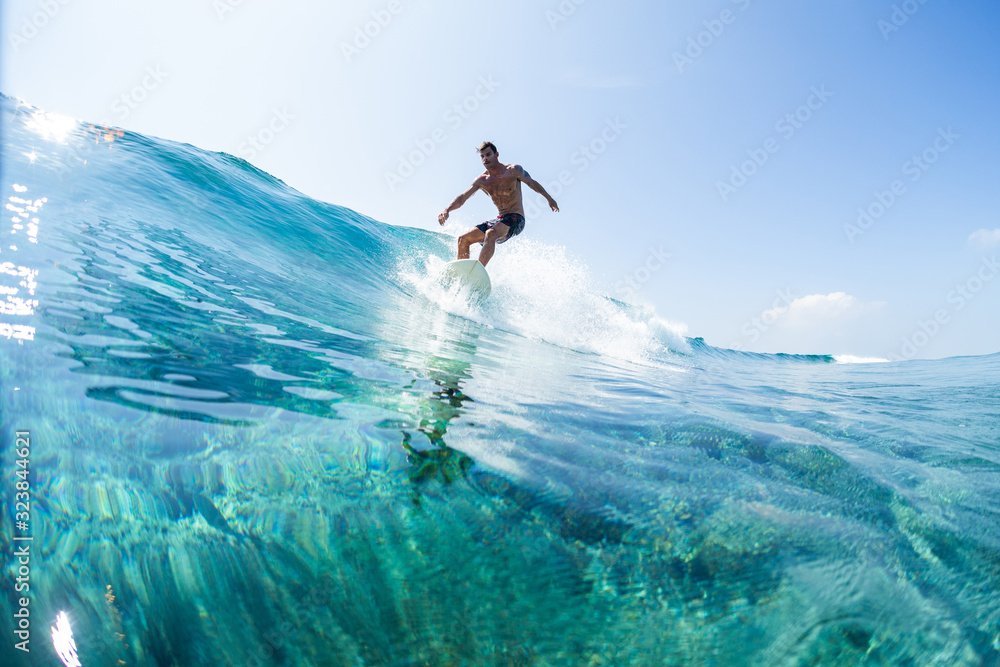 Surfer rides the glassy ocean wave in tropics - obrazy, fototapety, plakaty 