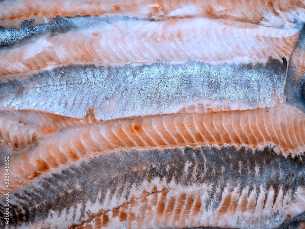 Close-up of salted herring fillet (mobile photography) Close-up of salted herring fillet (mobile photography)