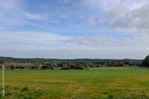 Green plain rural field landscape on a blue cloudy sky
