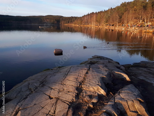 A duck floating in the lake - Oslo, lake Sognsvann  photo