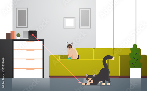 cats playing with interactive laser toy fluffy adorable cartoon animals domestic kitty home pets concept modern living room interior flat horizontal vector illustration