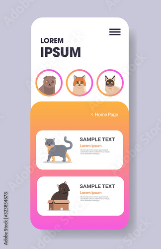 cute cats fluffy adorable cartoon animals domestic kitty home pets website or online shop smartphone screen mobile app copy space vertical vector illustration