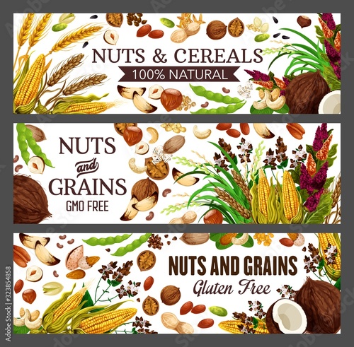 Nuts, cereals and grains of vector almond, pistachio and walnut, peanut, beans and hazelnut, wheat, corn and coconut, cashew, pecan and brazil nuts, buckwheat and rice, health food banners design