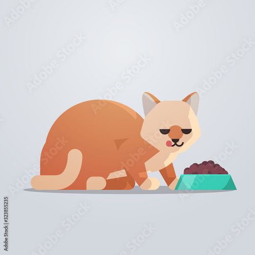 cute cat eating food from bowl fluffy adorable cartoon animal domestic kitty home pet concept flat full length vector illustration