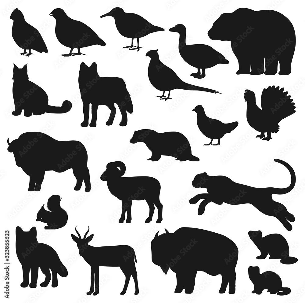 Animal and bird black silhouettes of hunting sport design. Vector bear, wolf and duck, african buffalo, fox and pheasant, bison, panther or leopard, goose, grouse and squirrel, woodcock and badger Animal and bird black silhouettes of hunting sport design. Vector bear, wolf and duck, african buffalo, fox and pheasant, bison, panther or leopard, goose, grouse and squirrel, woodcock and badger