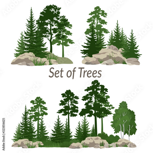 Set Landscapes, Isolated on White Background Coniferous and Deciduous Trees and Grass on the Rocks. Vector