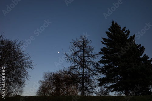 City park at sunset with moon and birds