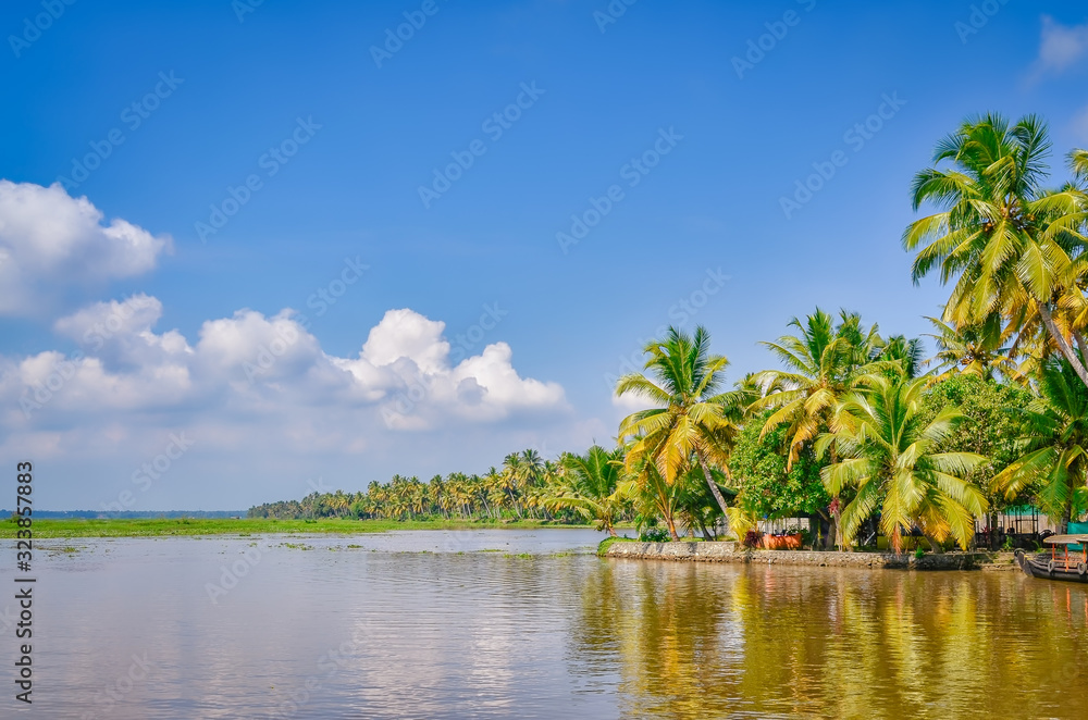 Scenery of Coconut Trees, Backwaters and a clear blue sky. From Kerala, India.
