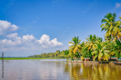 Scenery of Coconut Trees, Backwaters and a clear blue sky. From Kerala, India. © rejittiachan