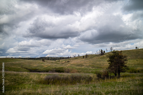 An overlooking landscape view of Custer State Park, South Dakota