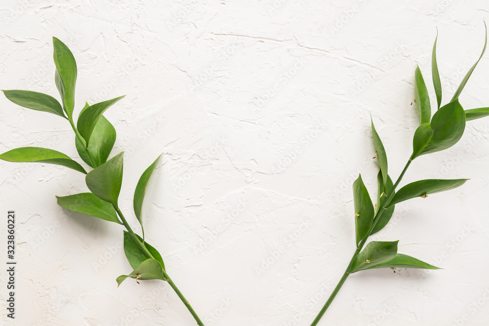 Fototapeta Branches with fresh green Ruscus leaves on white concrete textured background. Floral frame with copy space