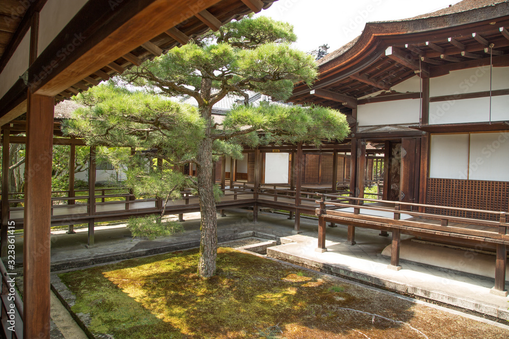 Photograph of the garden of an old Japanese house Photograph of the garden of an old Japanese house