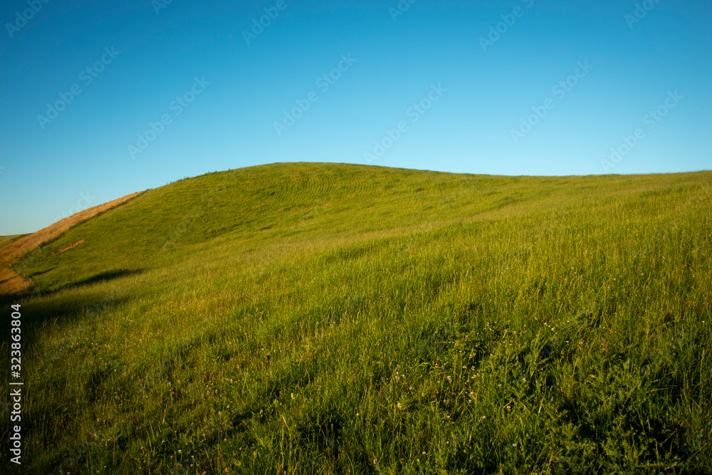 Obraz premium Green hills of Taranaki under blue sky