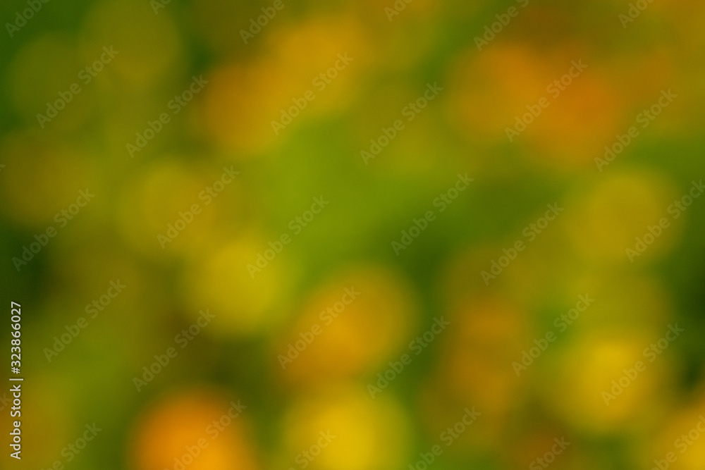 Blurred nature background.Abstract green nature blurred background. Blurred nature background.Abstract green nature blurred background.