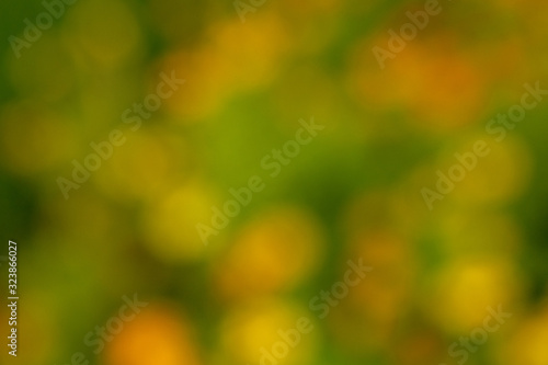 Blurred nature background.Abstract green nature blurred background.