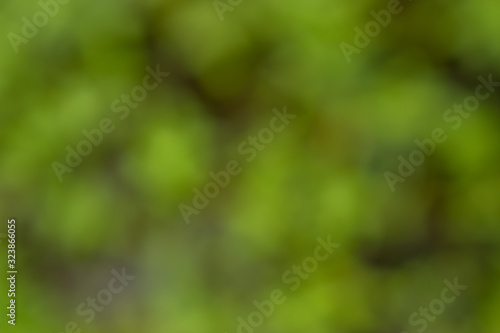 Blurred nature background.Abstract green nature blurred background.