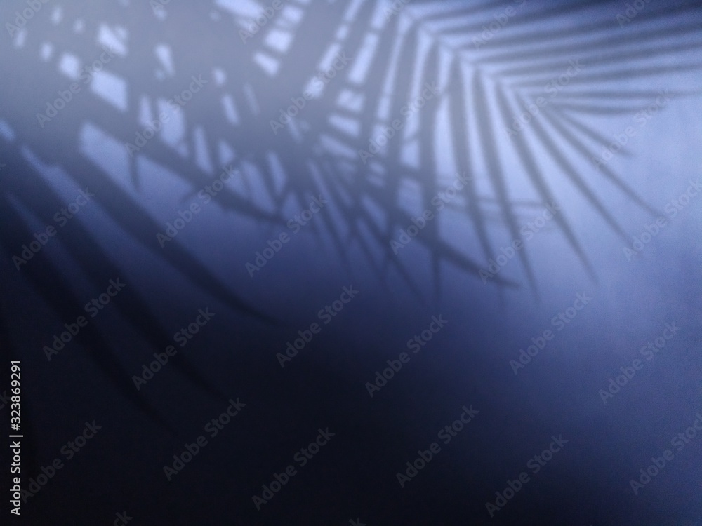 Obraz premium Shadow leaf on blue background