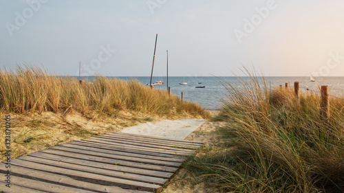 Wooden path in the middle of the dunes leading to the beach surrounded by stakes on the island of Noirmoutier, France