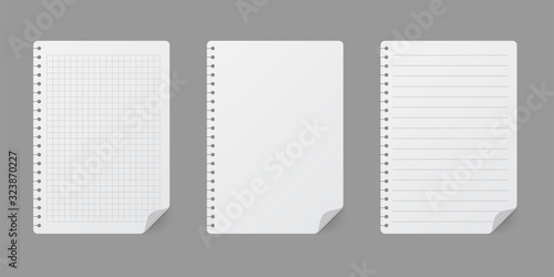 Notepads with empty lined and checkered paper. Set of notebooks sheets. Vector illustration