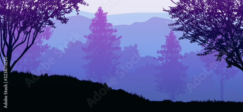 Nature forest Natural Pine forest mountains horizon Landscape wallpaper Sunrise and sunset Illustration vector style colorful view background photo