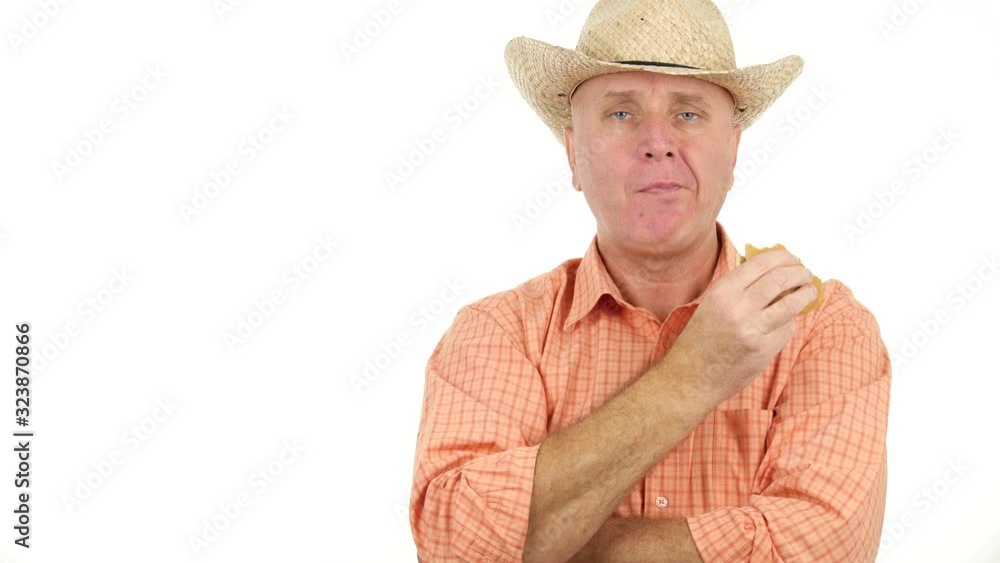 Starved Farmer Wearing a Cowboy Hat Eating a Tasty Sandwich in a Relaxing Pause Starved Farmer Wearing a Cowboy Hat Eating a Tasty Sandwich in a Relaxing Pause