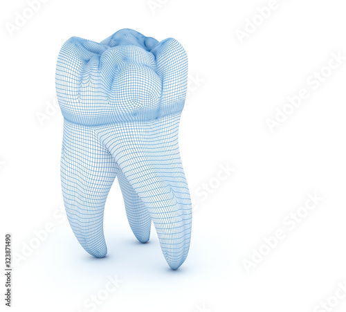 Obraz na plátně Morphology of First maxillary molar tooth.  Wired 3d illustration