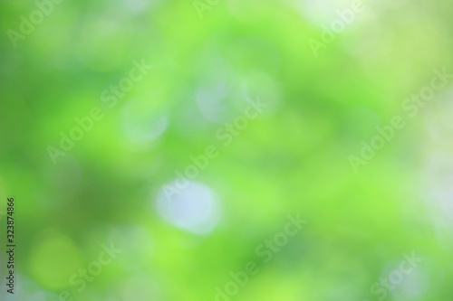 Bokeh green nature  Subtle background in abstract style for graphic design