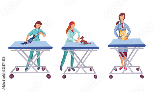 Young women veterinarians helping animals in clinic vector illustration