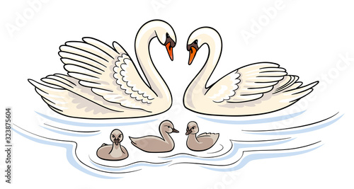 Swans family - vector illustration
