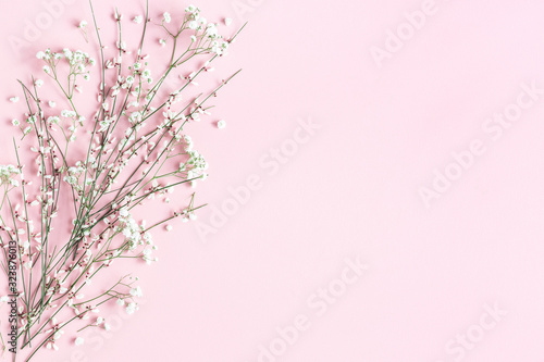 Flowers composition. White flowers on pink background. Spring concept. Flat lay, top view, copy space