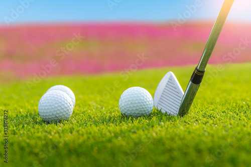 Golfer is putting golf ball on green grass at golf course for game with blur background and sunlight ray