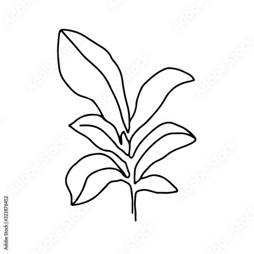 Continuous line illustration with leaf, plant with leaves.