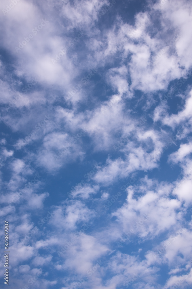 Fototapeta premium 青空