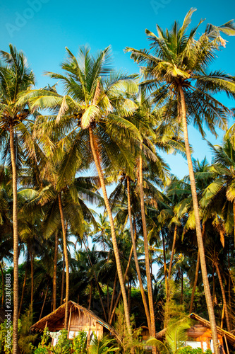 Cola beach Goa. South Goa India  Sunny tropical beach.