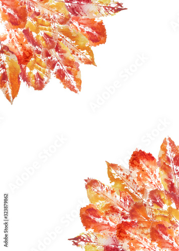 watercolor hand drawn corner banner of stamp imprint grunge fall autumn leaf leaves of orange yellow red color with clouds cloudy sky natural forest wood for nature lovers woodland foliage