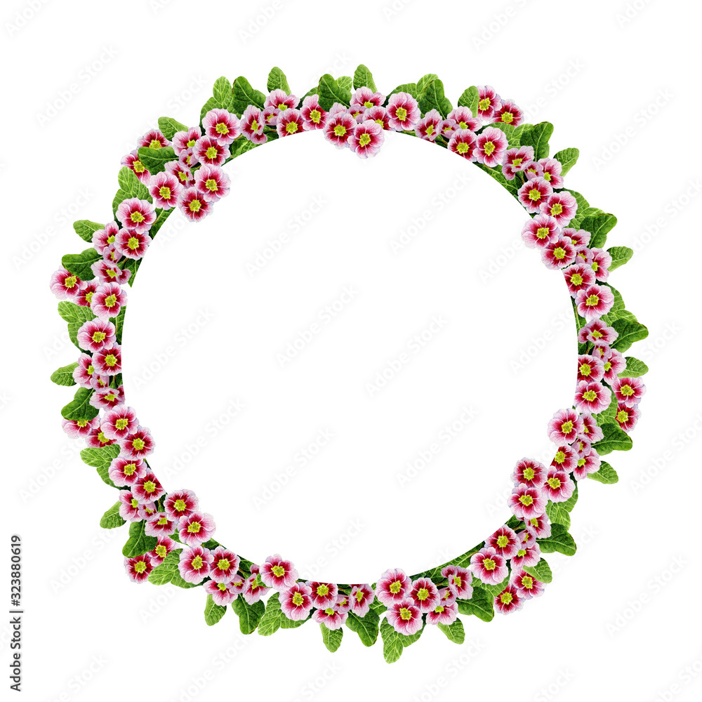 watercolor hand drawn circle round frame template design with pink spring prumula primrose flower green leaves botanical illustration vibrant intense bright colors cards invitation wedding greeting watercolor hand drawn circle round frame template design with pink spring prumula primrose flower green leaves botanical illustration vibrant intense bright colors cards invitation wedding greeting