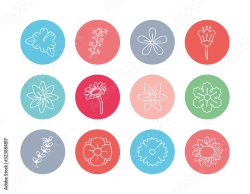 Flowers inside circles line block style icon set vector design