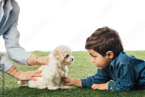 Canvas-taulu cropped view of mother holding Havanese puppy and son looking at it isolated on