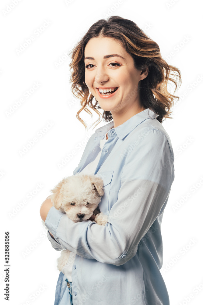 smiling woman holding cute Havanese puppy isolated on white smiling woman holding cute Havanese puppy isolated on white