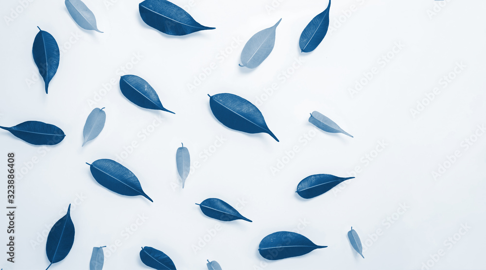 green and yellow leaves isolated on a white background. the spring theme. composition top view, layout . flat lay . classic blue color of the year 2020. color trend green and yellow leaves isolated on a white background. the spring theme. composition top view, layout . flat lay . classic blue color of the year 2020. color trend
