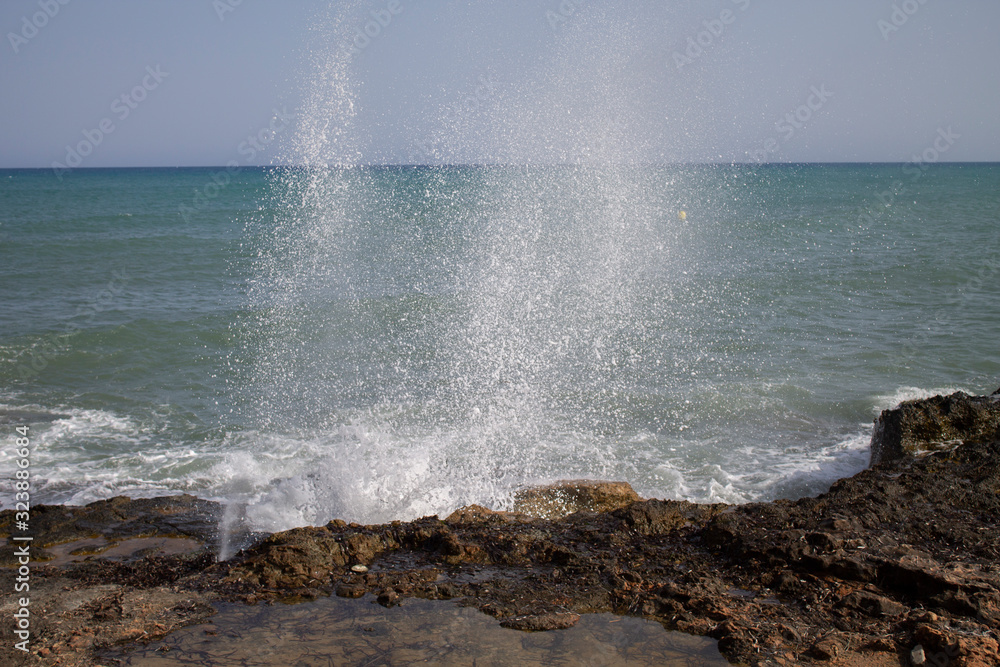 Fototapeta premium Geiser